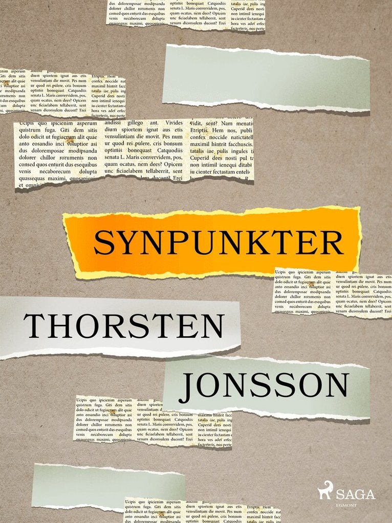 Thorsten Jonsson - Synpunkter, E-bok