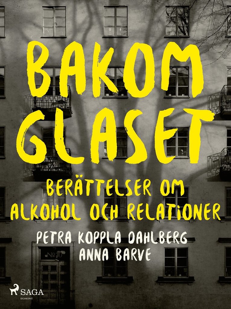 Petra Koppla Dahlberg, Anna Barve - Bakom glaset : berättelser om alkohol och relationer, E-bok