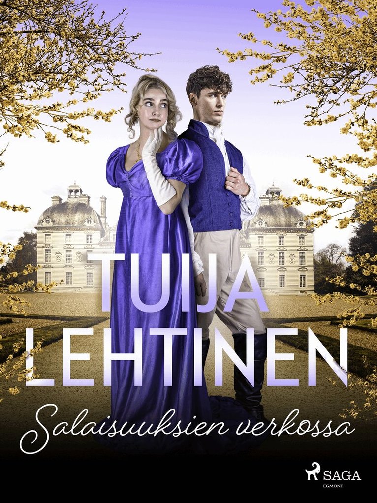 Tuija Lehtinen - Salaisuuksien verkossa, E-bok
