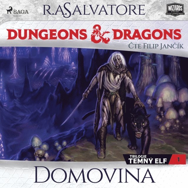 Salvatore - Dungeons & Dragons. Legenda o Drizztovi. Temný elf 1: Domovina, Ljudbok