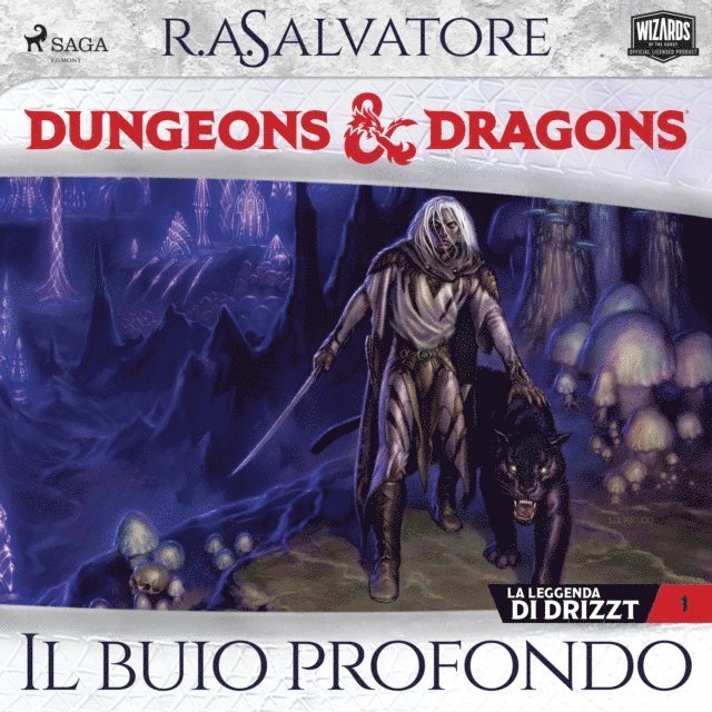 Salvatore - Dungeons & Dragons: Il buio profondo, Ljudbok