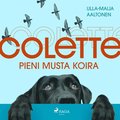 Colette, pieni musta koira