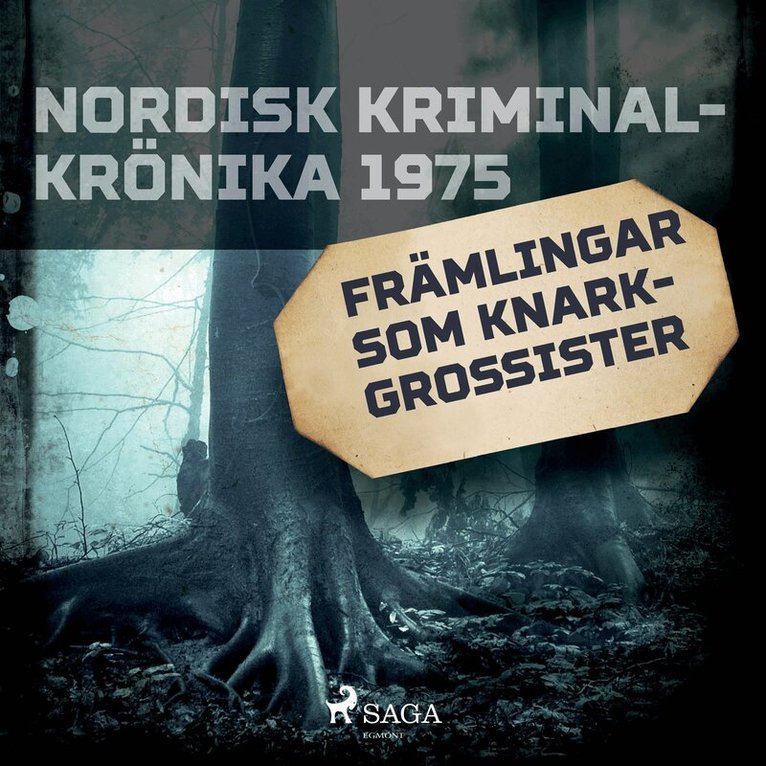 Diverse - Främlingar som knarkgrossister, Ljudbok
