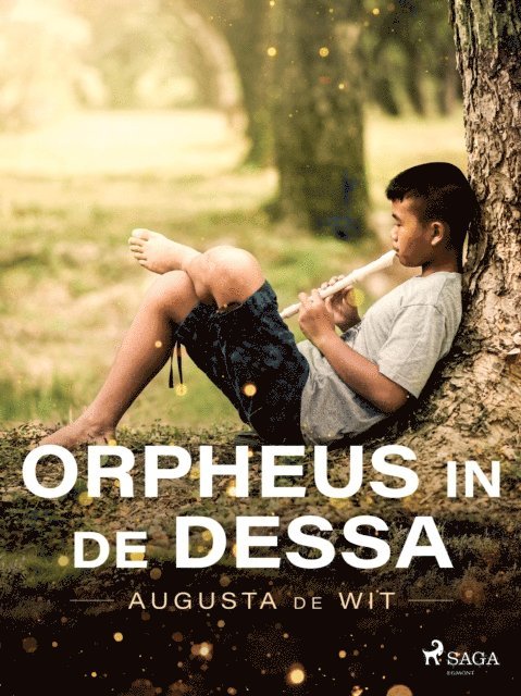 Augusta de Wit - Orpheus in de dessa, E-bok