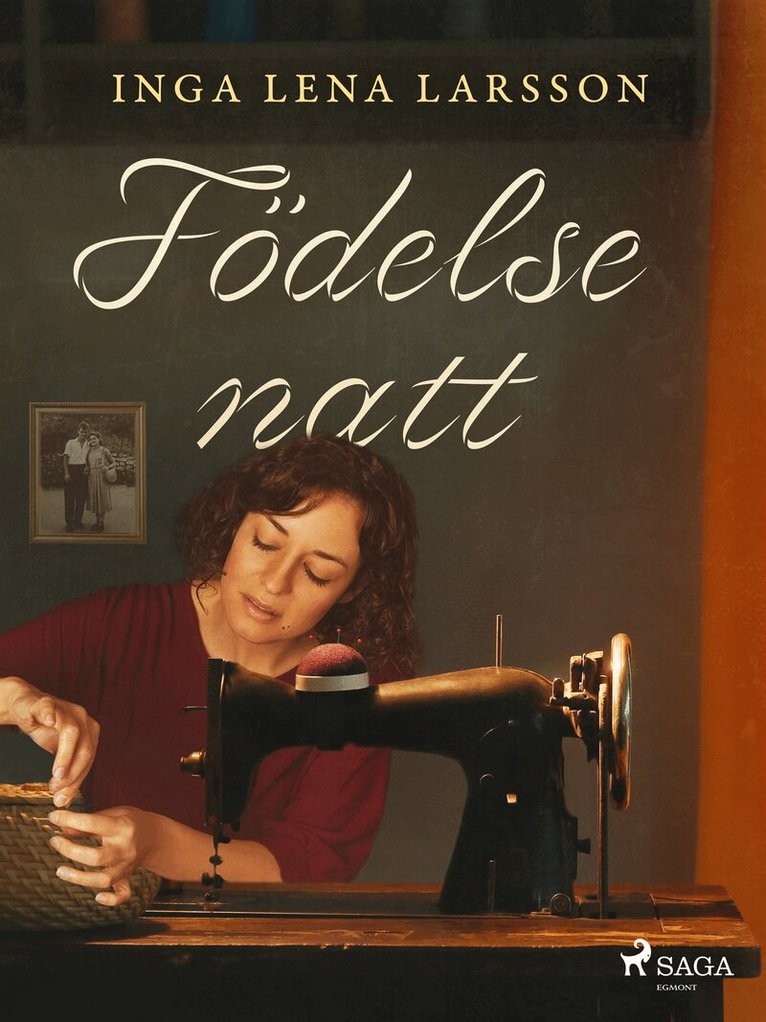 Inga Lena Larsson - Födelsenatt, E-bok