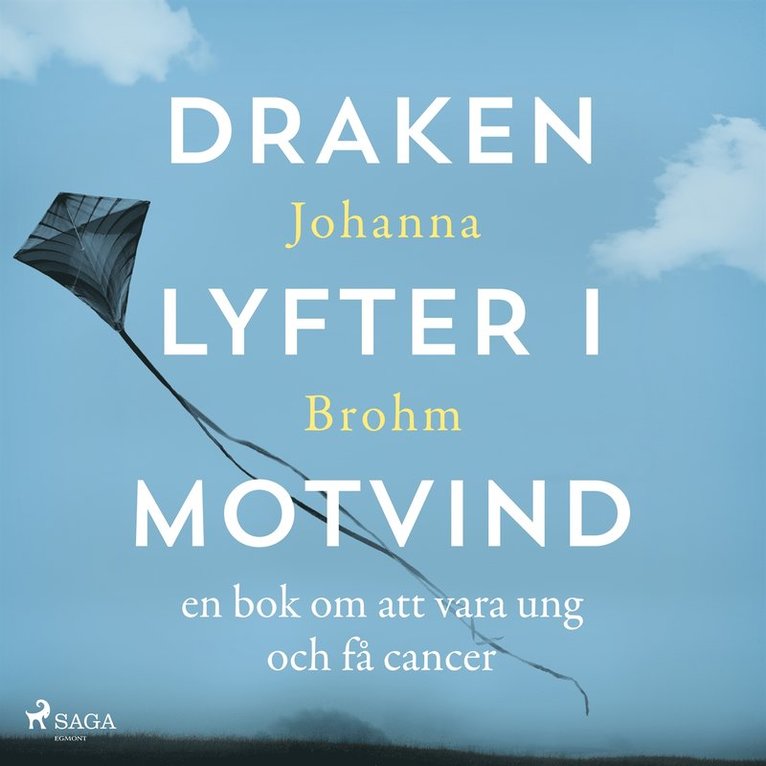 Johanna Brohm - Draken lyfter i motvind, Ljudbok