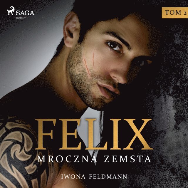 Feldmann - Felix. Mroczna zemsta, Ljudbok