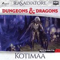 Dungeons &amp; Dragons ? Drizztin legenda: Kotimaa