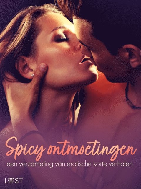 LUST authors - Spicy ontmoetingen: een verzameling van erotische korte verhalen, E-bok