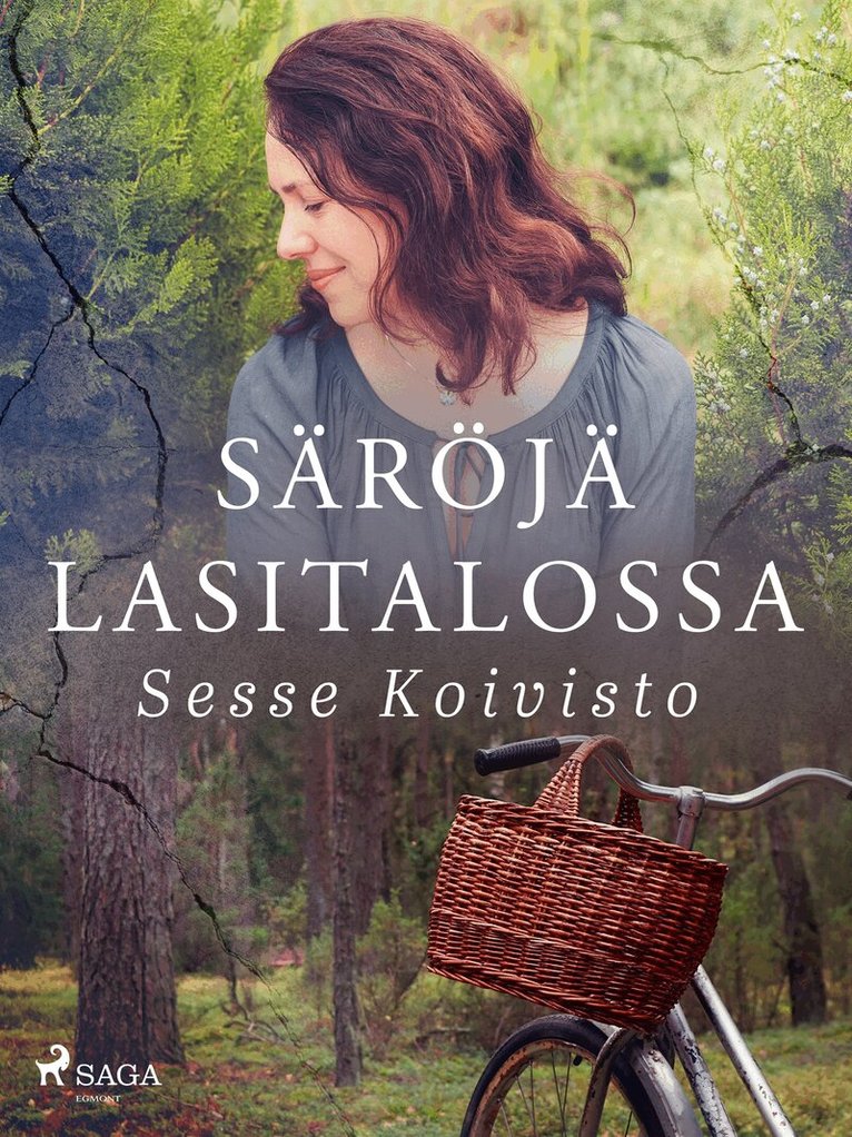 Sesse Koivisto - Säröjä lasitalossa, E-bok