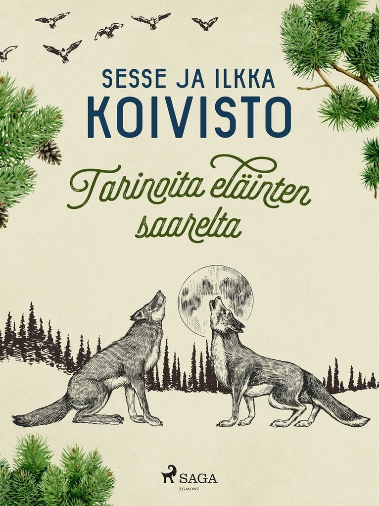 Ilkka Koivisto, Sesse Koivisto - Tarinoita eläinten saarelta, E-bok