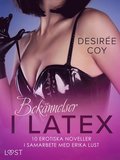 Bekännelser i Latex: 10 erotiska noveller i samarbete med Erika Lust