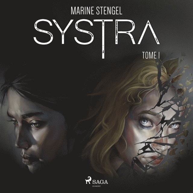 Stengel - Systra, Tome 1, Ljudbok