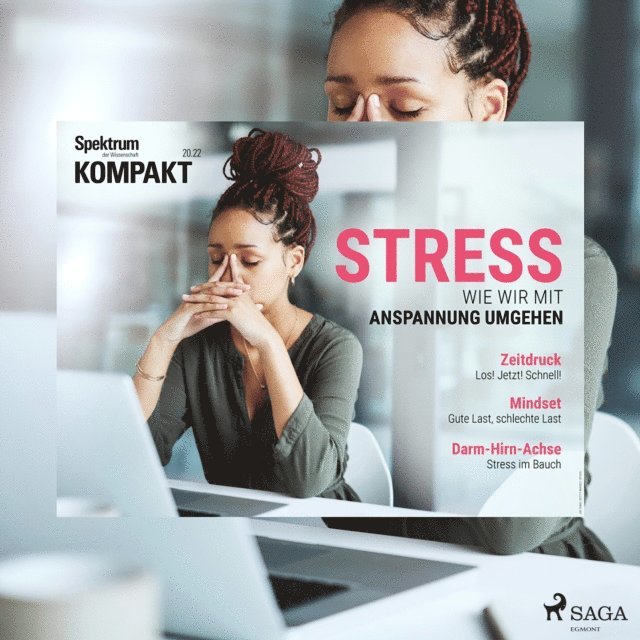 Spektrum Kompakt - Spektrum Kompakt: Stress - Wie wir mit Anspannung umgehen, Ljudbok