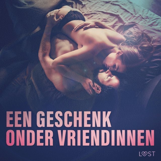 authors - Een geschenk onder vriendinnen: 10 erotische korte verhalen voor een sexy avond, Ljudbok