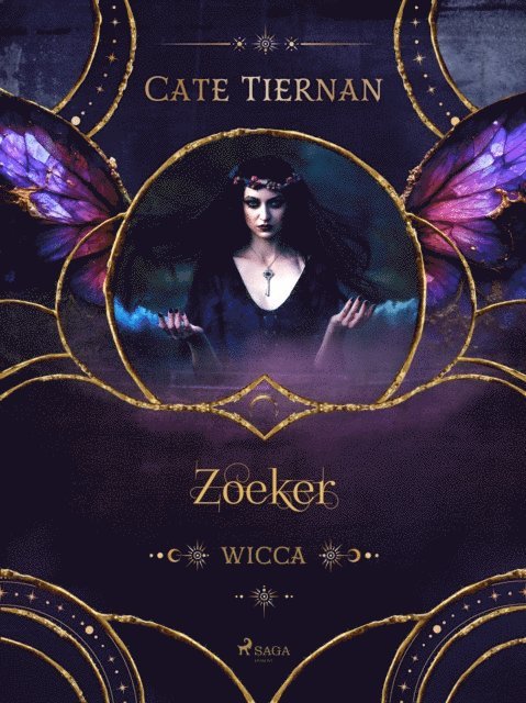 Cate Tiernan - Zoeker, E-bok