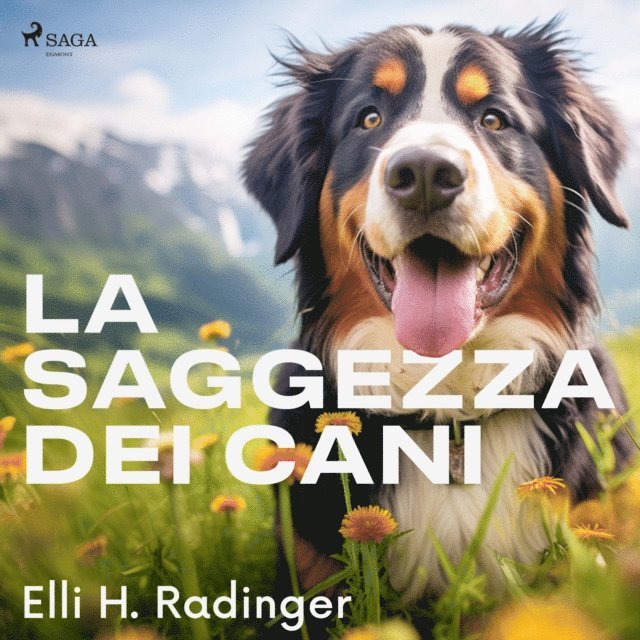 Radinger - La saggezza dei cani, Ljudbok