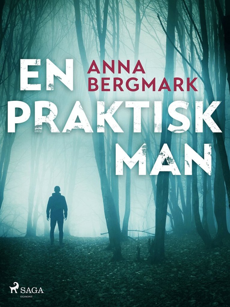 Anna Bergmark - En praktisk man, E-bok