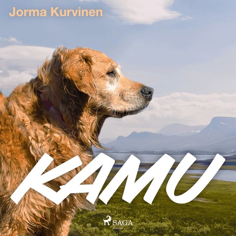 Jorma Kurvinen - Kamu, Ljudbok
