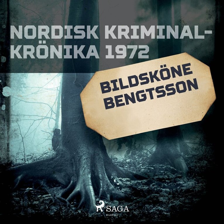 Diverse - Bildsköne Bengtsson, Ljudbok