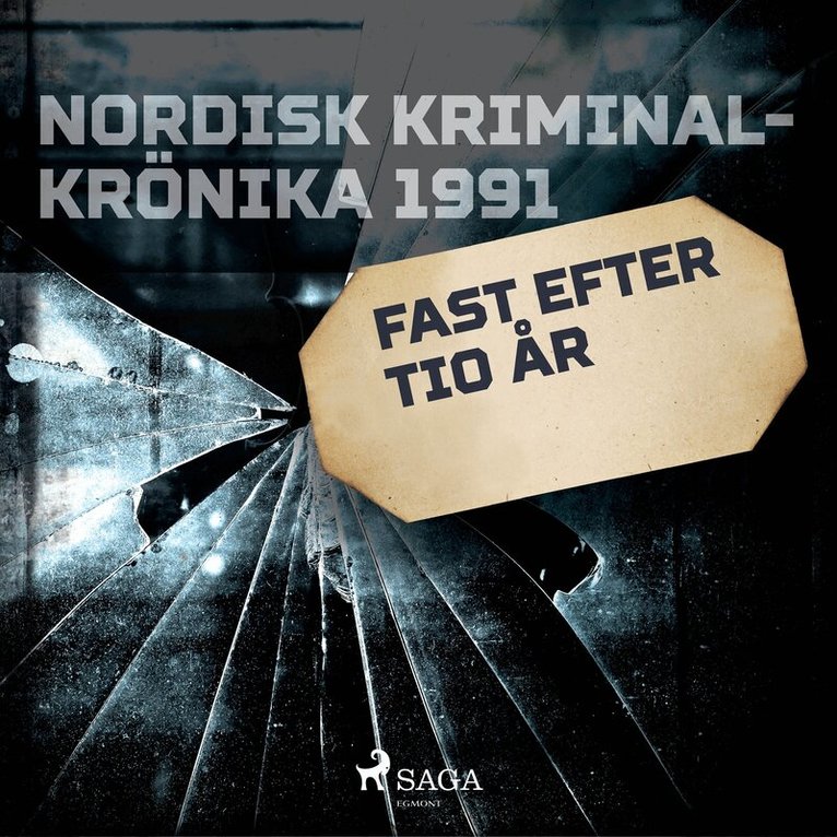 Diverse - Fast efter tio år, Ljudbok