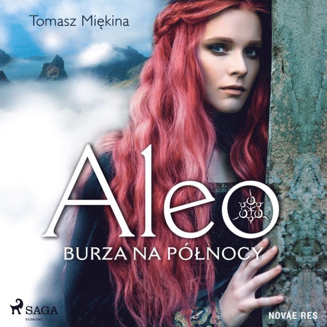 Miekina - Aleo. Burza na północy, Ljudbok