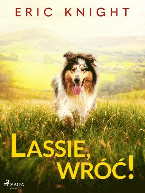 Eric Knight - Lassie, wróć!, E-bok