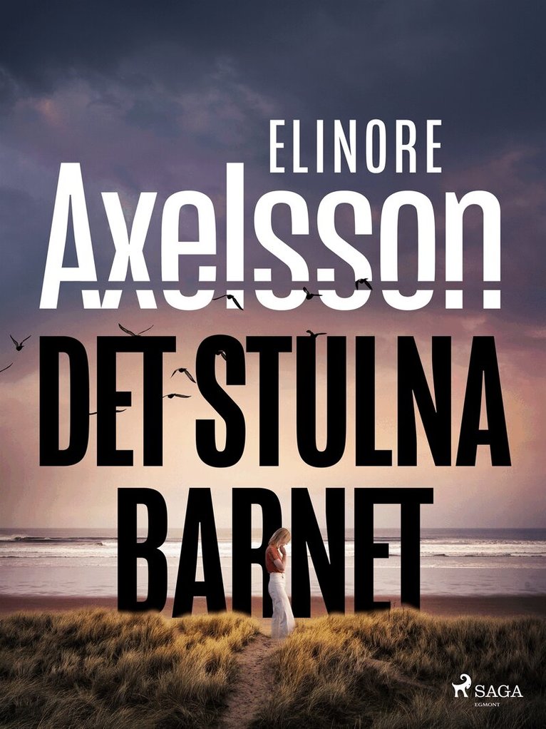 Elinore Axelsson - Det stulna barnet, E-bok