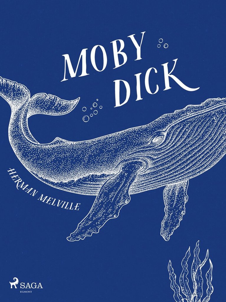 Herman Melville - Moby Dick, E-bok