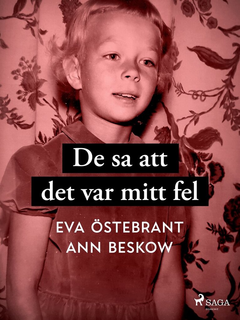 Ann Beskow, Eva Östebrant - De sa att det var mitt fel, E-bok