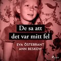 De sa att det var mitt fel