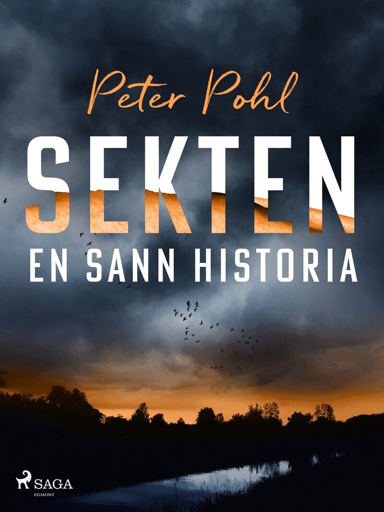 Peter Pohl - Sekten: en sann historia, E-bok