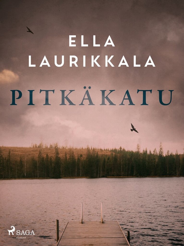 Ella Laurikkala - Pitkäkatu, E-bok