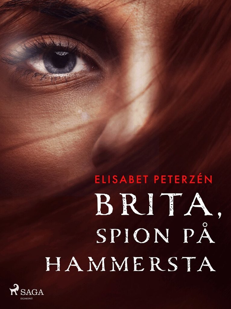 Elisabet Peterzén - Brita, spion på Hammersta, E-bok