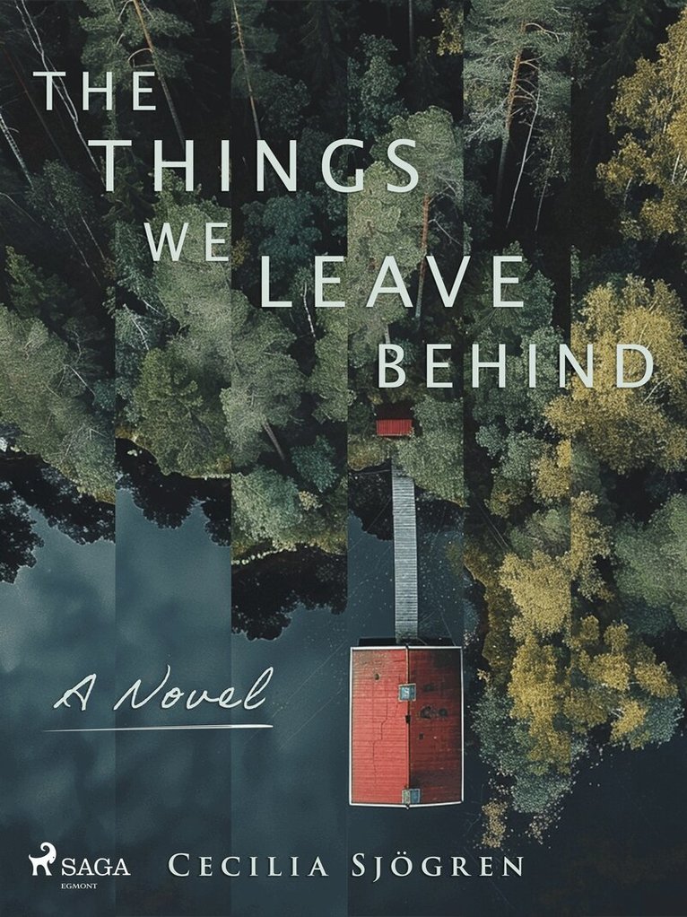 Cecilia Sjögren - The Things We Leave Behind: a dual timeline, literary thriller set in Sweden, E-bok