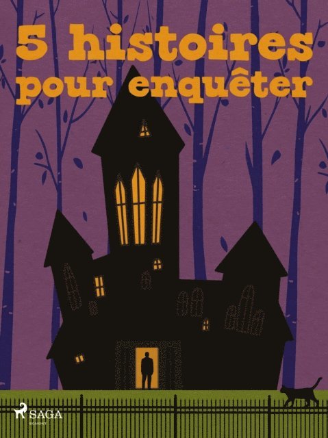 H. J. Magog, Jules Renard, Robert Louis Stevenson, Emile Gaboriau, Edgar Allan - 5 histoires pour enquêter, E-bok
