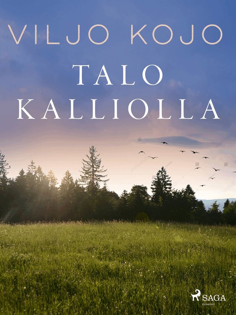 Viljo Kojo - Talo kalliolla, E-bok