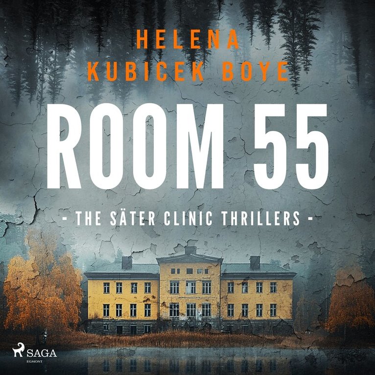 Helena Kubicek Boye - Room 55: A clever Scandi-Noir thriller set in Sweden's notorious psychiatric clinic, Ljudbok