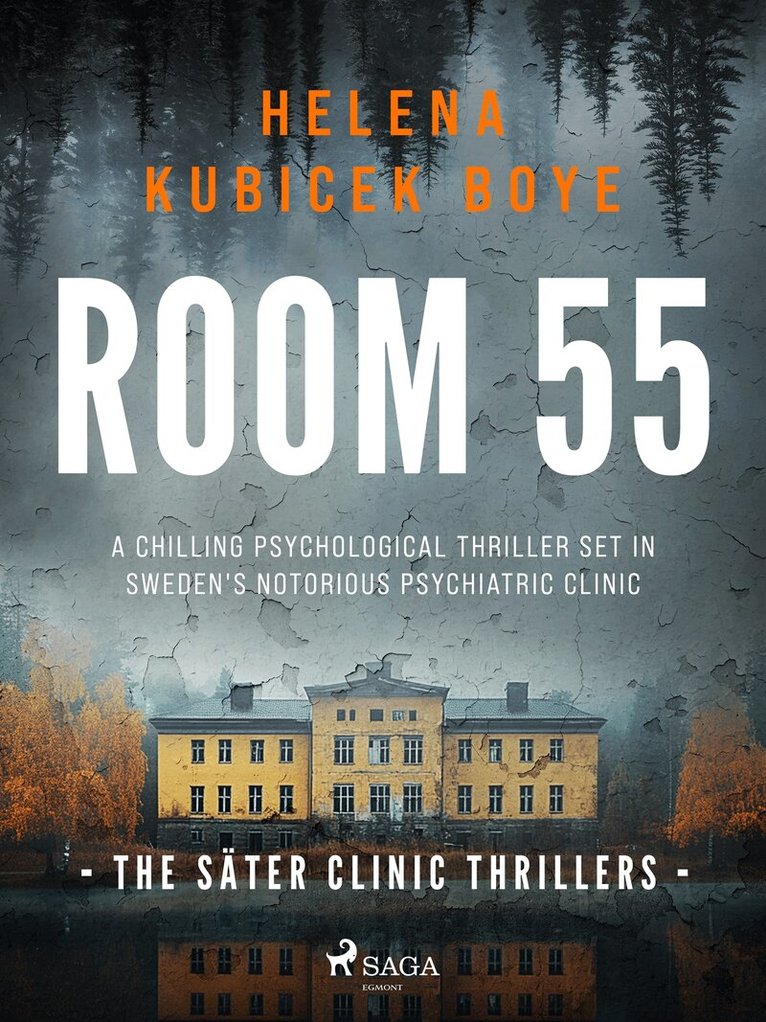 Helena Kubicek Boye - Room 55: a chilling psychological thriller set in Sweden's notorious psychiatric clinic, E-bok
