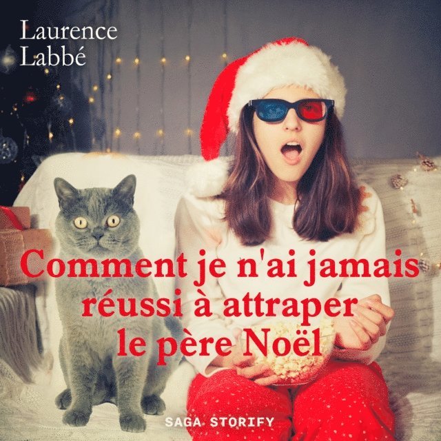 Labbe - Comment je n'ai jamais réussi à attraper le père Noël, Ljudbok