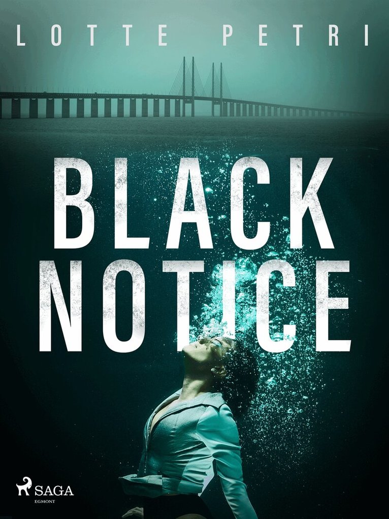 Lotte Petri - Black Notice, E-bok