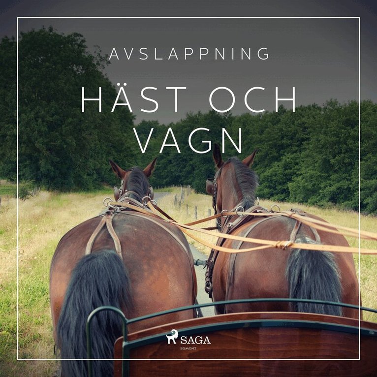 Rasmus Broe - Avslappning - Häst och vagn, Ljudbok
