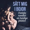 Stt mig i bojor: Erotiska noveller om hemliga fetisher