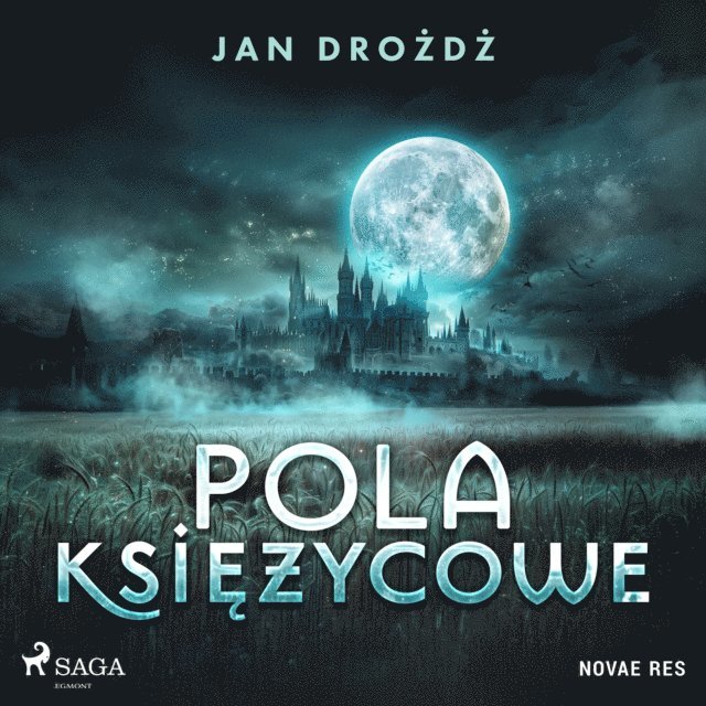Drozdz - Pola ksiÄ™Å¼ycowe, Ljudbok