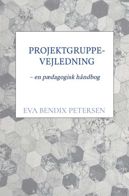 Eva Bendix Petersen - Projektgruppevejledning, E-bok
