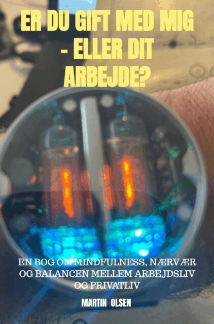 Martin Olsen - Er du gift med mig - eller dit arbejde?, E-bok