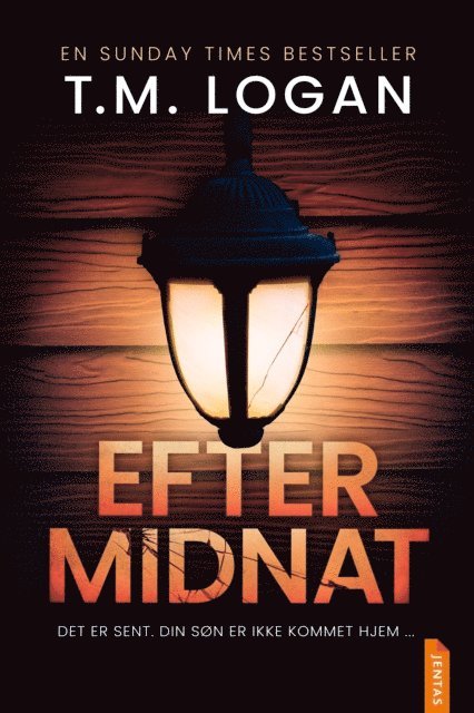T.M. Logan - Efter midnat, E-bok