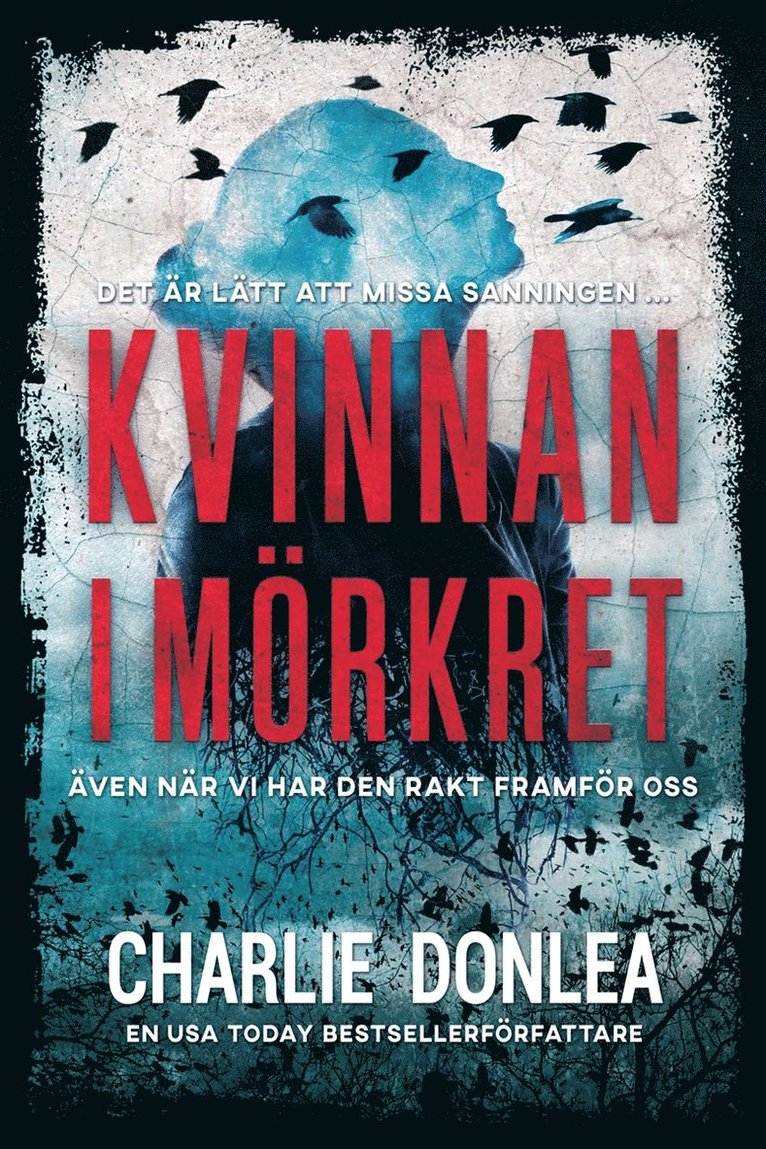 Charlie Donlea - Kvinnan i mörkret, E-bok