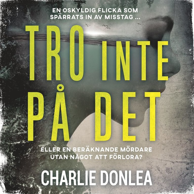 Charlie Donlea - Tro inte på det, Ljudbok