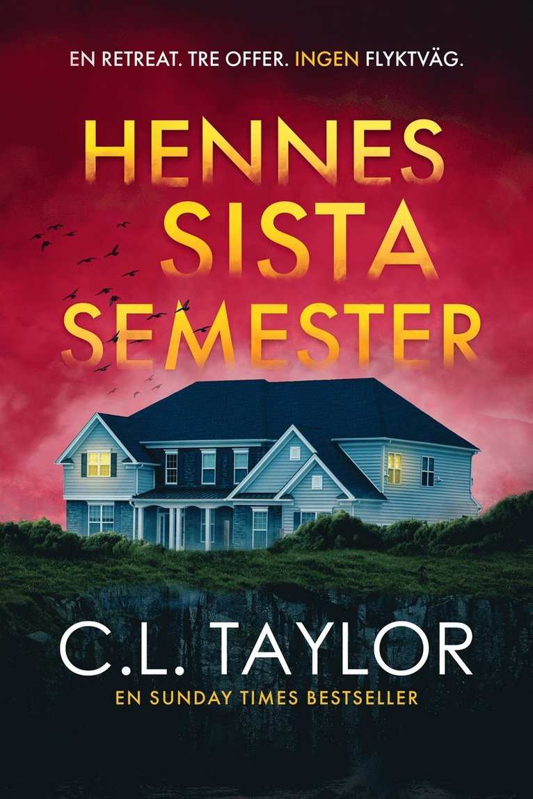 C.L. Taylor - Hennes sista semester, E-bok